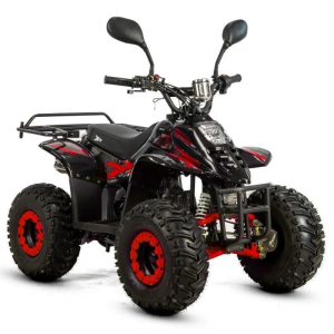 Квадроцикл XTR BIG FOOT 125 СМ3