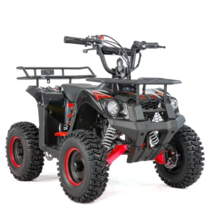 Дитячий міні квадроцикл XTR M9 49 см³